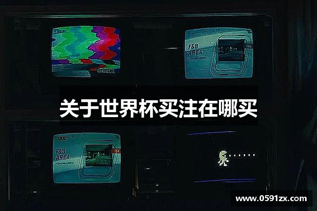 关于世界杯买注在哪买